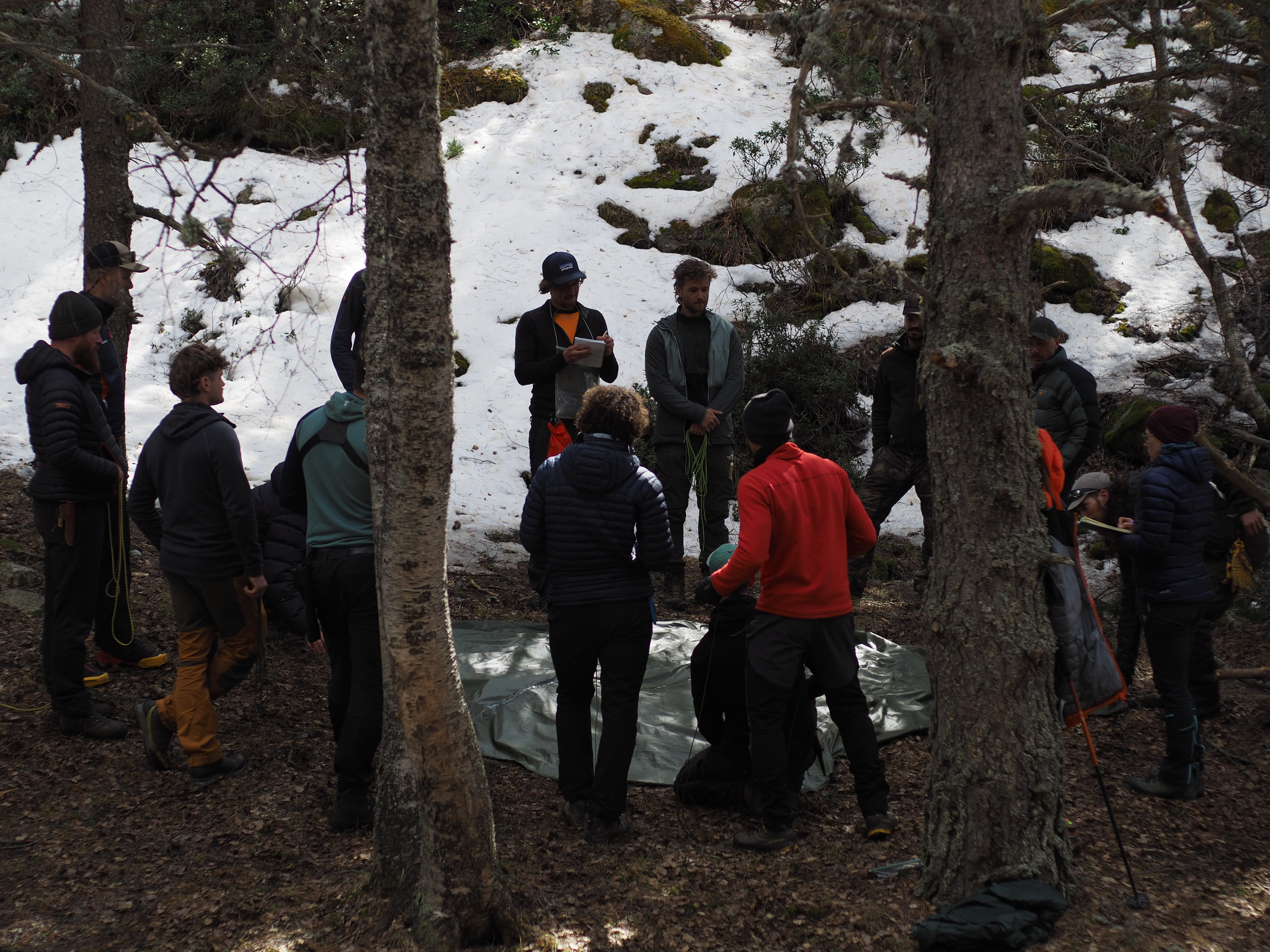 Comunidad & Team Building